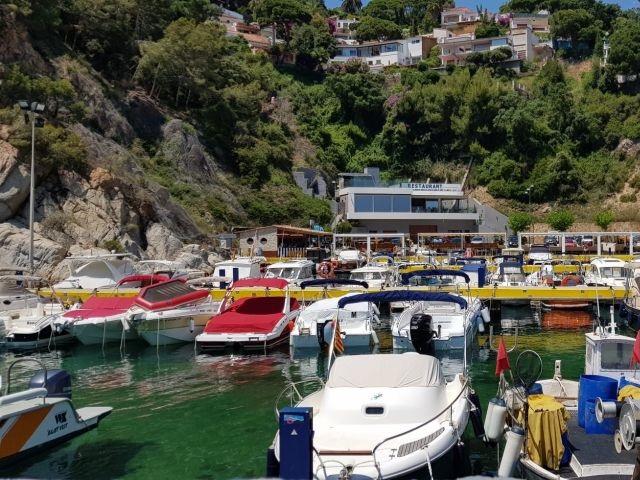 camping con actividades en la naturaleza.